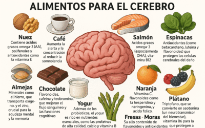 alimentos gestiemocion